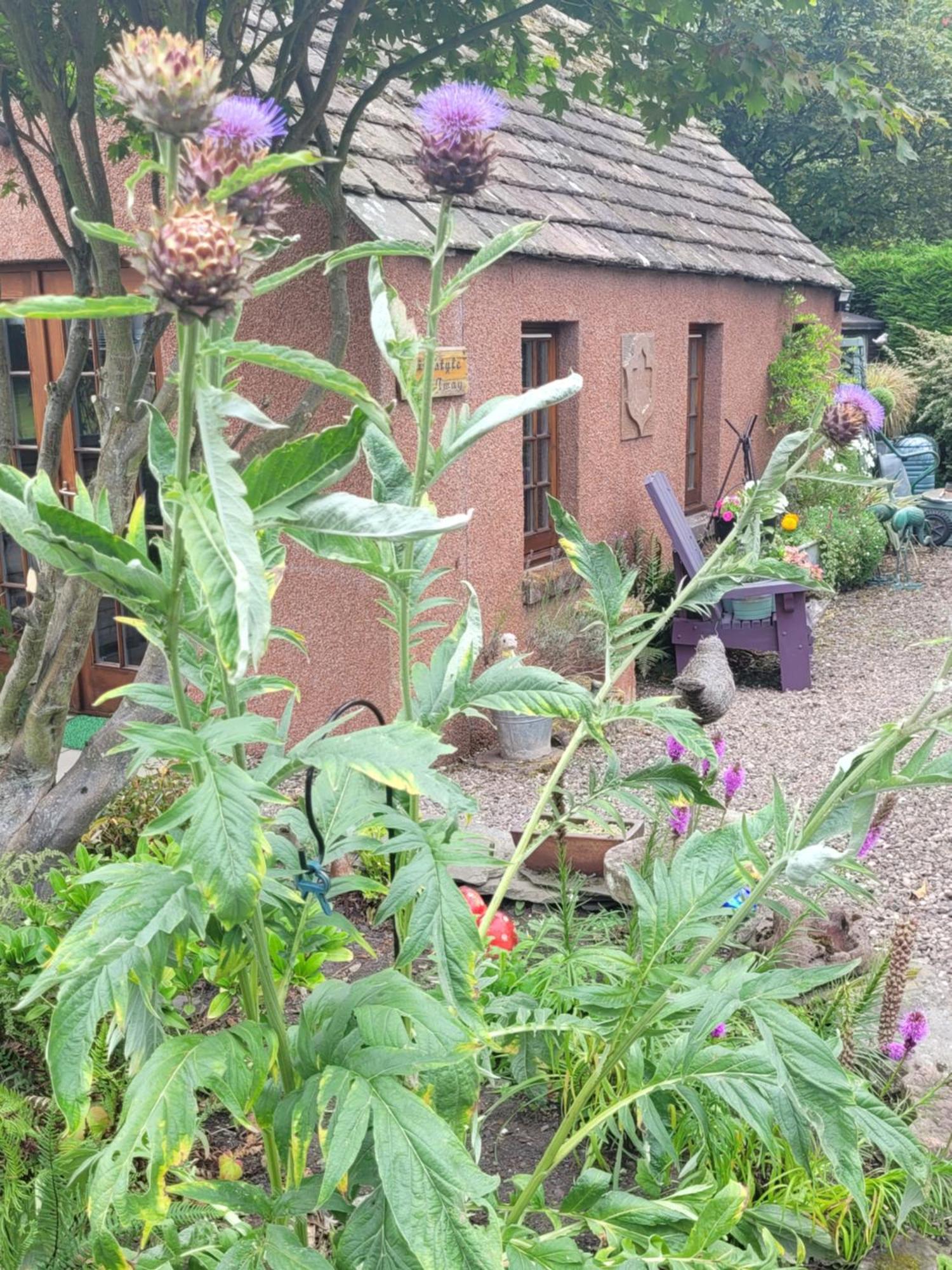 Kirkstyle Hideaway Bed and Breakfast Arbroath Exteriör bild